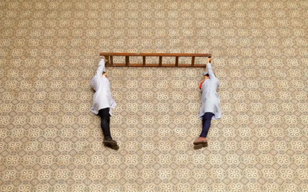 Las constructoras, 2016