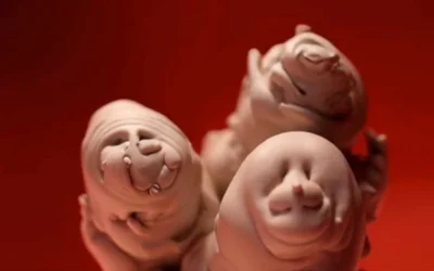 Aprehendiendo a Bacon, 2025 (work in progress)